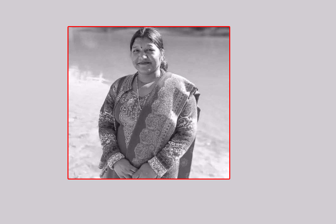 सर्पदंशबाट शिक्षिकाको मृत्यु, शिक्षक समुदाय शोकमा