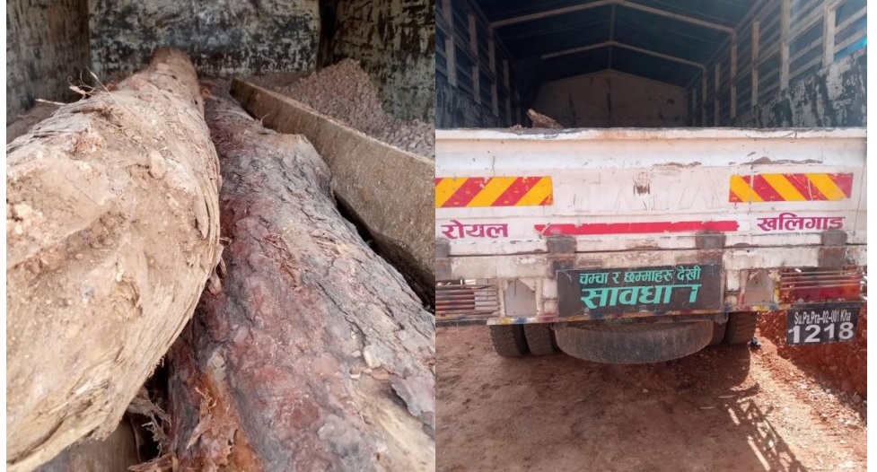 बैतडी प्रहरीले समात्यो अवैध काठले भरिएको ट्रक