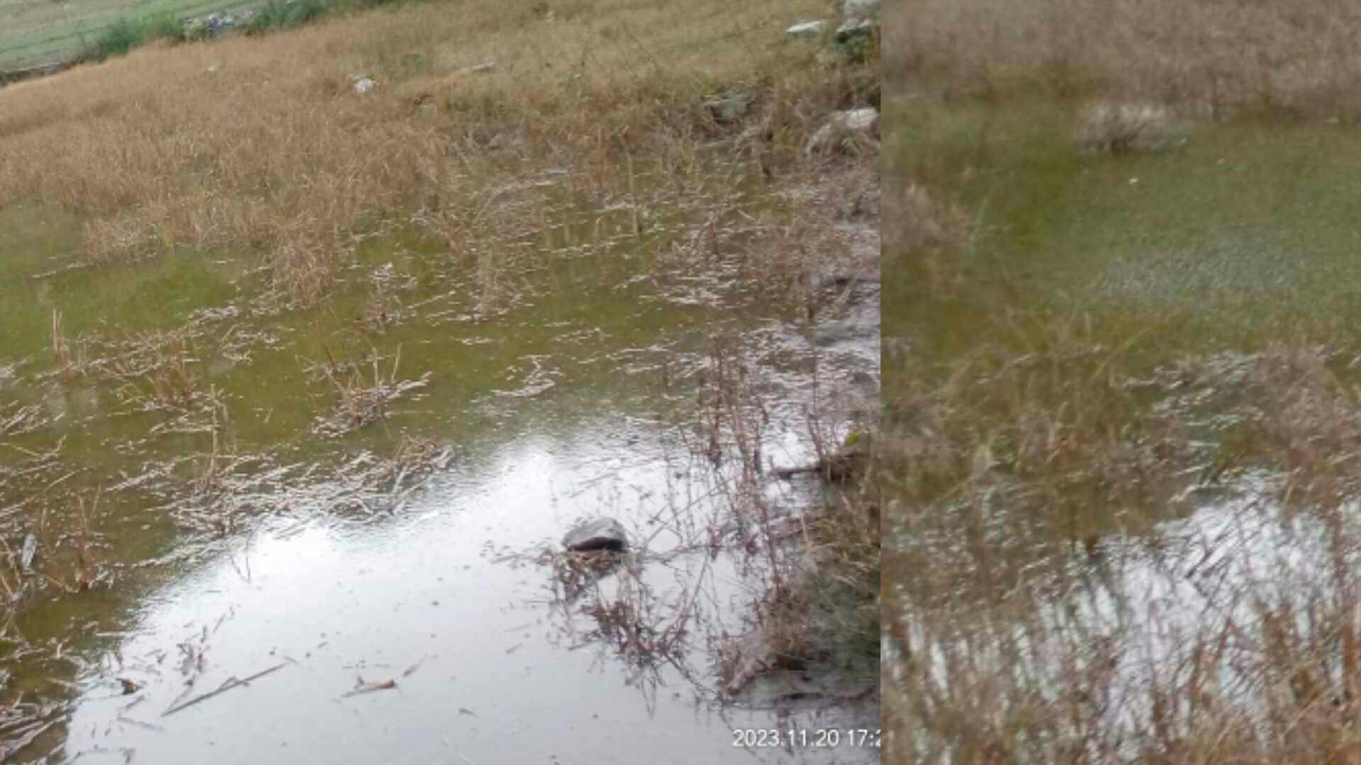 संरक्षणको पर्खाइमा सिगास  ९ कुडिपातल गाउँको ताल